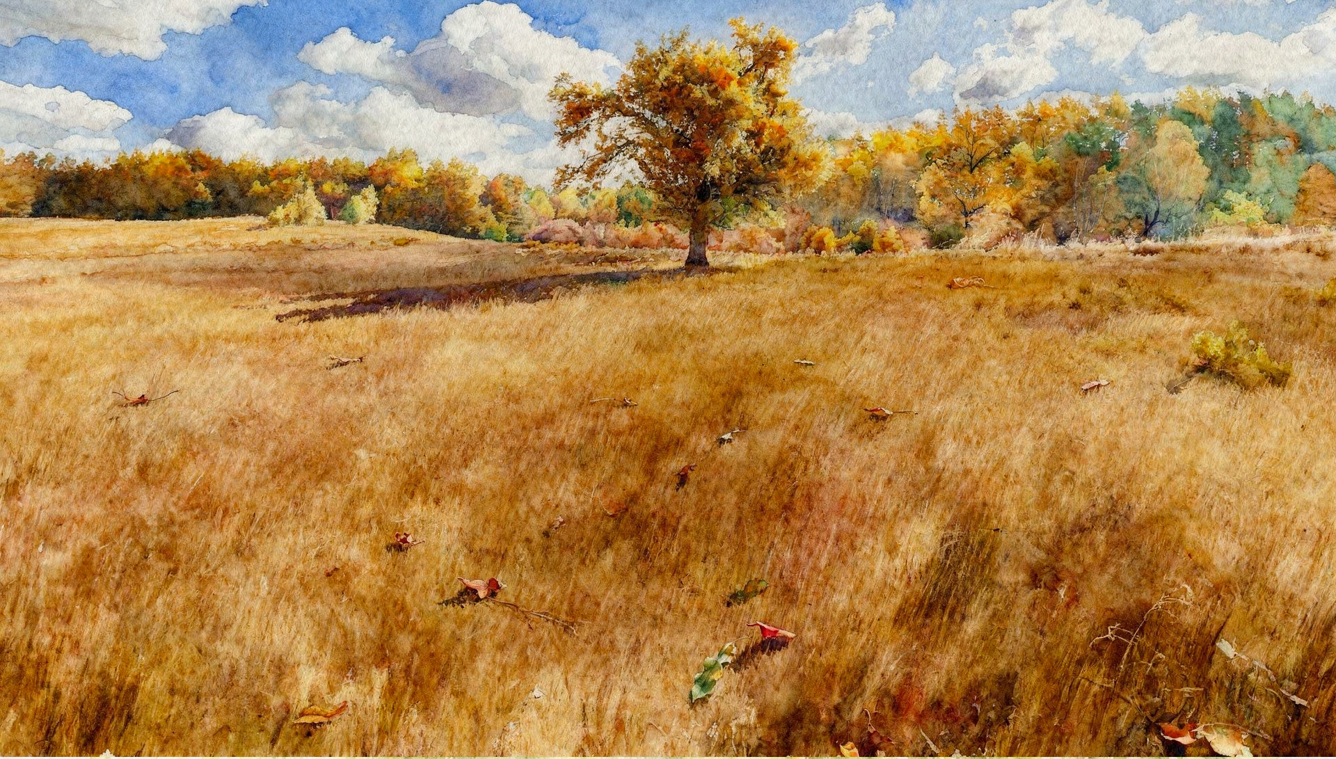 Warsztaty Jesień 2026