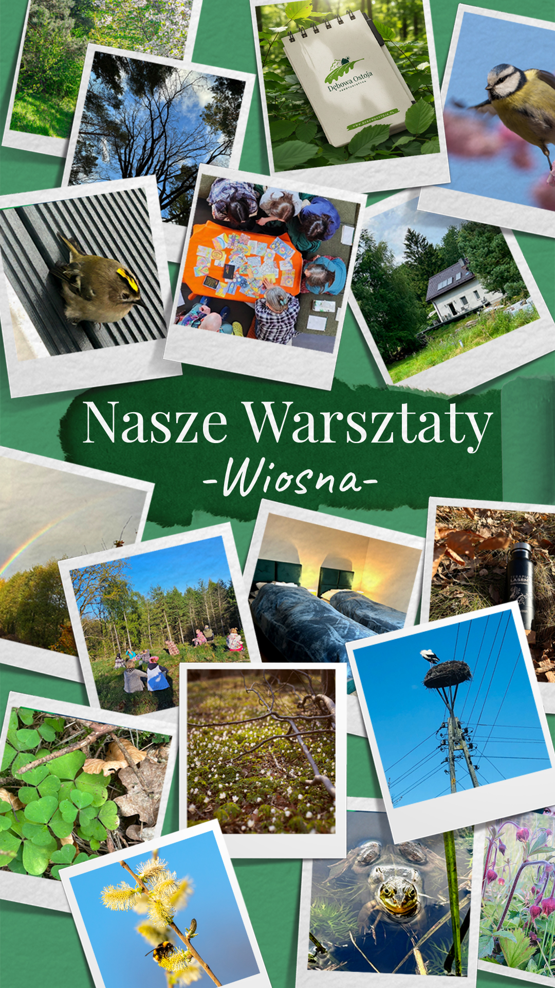 Wspomnienia z warsztatu Wiosna 2026